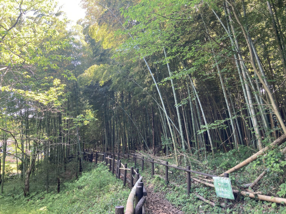 横浜三保市民の森 散策日誌