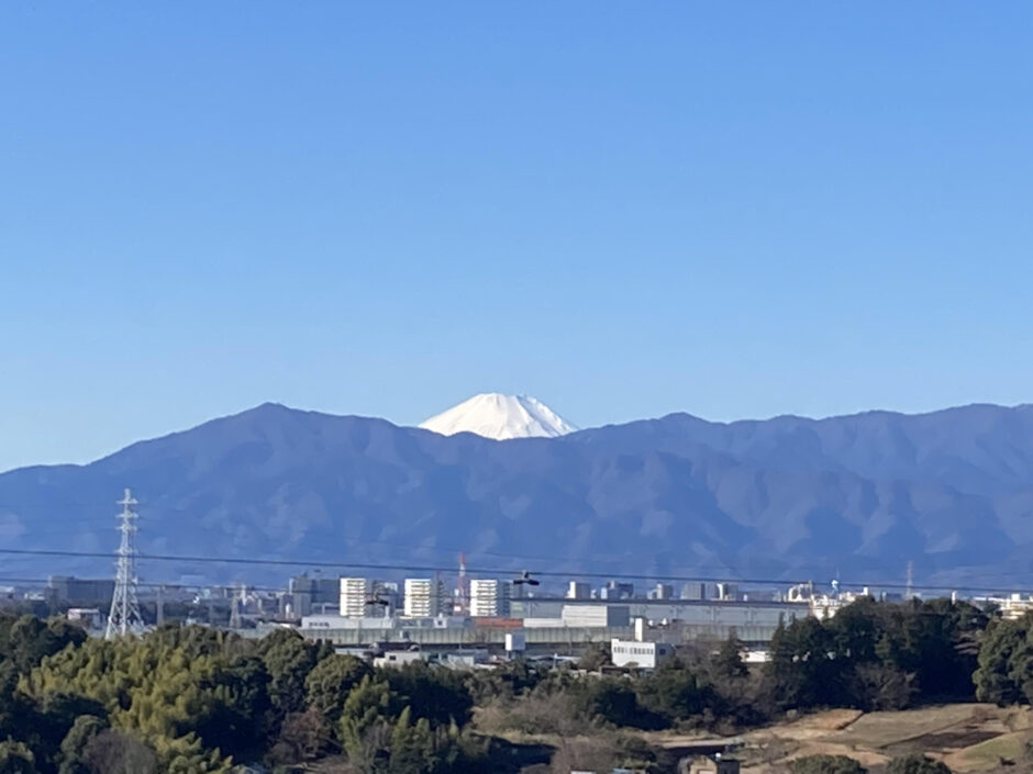 横浜三保市民の森 散策日誌